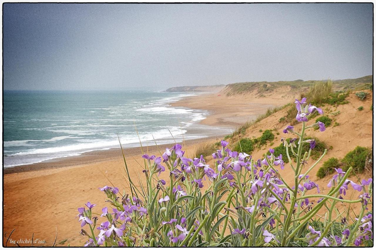 La Calypsette - Face Grande Plage Des Sables D'Olonne Les Sables-d'Olonne Exterior photo